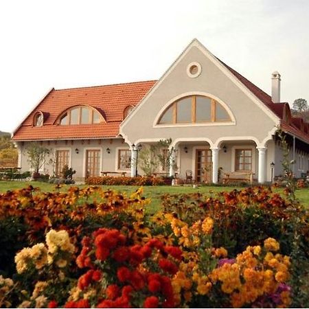 Koczor Winery & Guesthouse Balatonfüred Buitenkant foto
