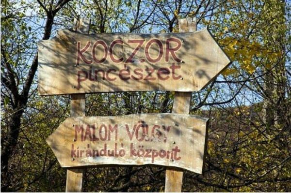 Koczor Winery & Guesthouse Balatonfüred Buitenkant foto