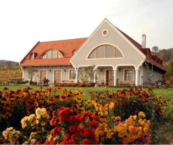 Koczor Winery & Guesthouse Balatonfüred Buitenkant foto