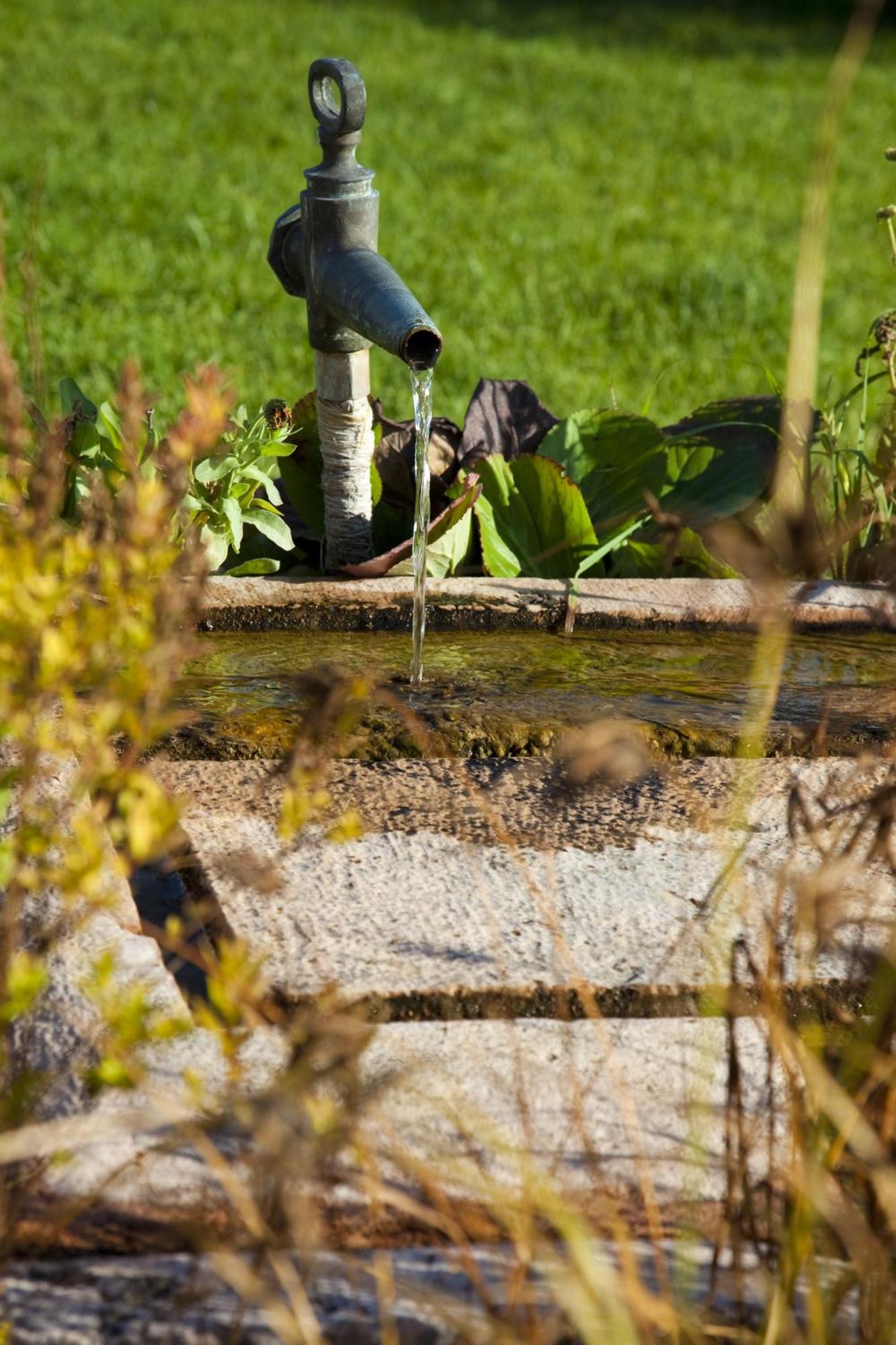 Koczor Winery & Guesthouse Balatonfüred Buitenkant foto