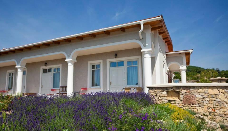 Koczor Winery & Guesthouse Balatonfüred Buitenkant foto