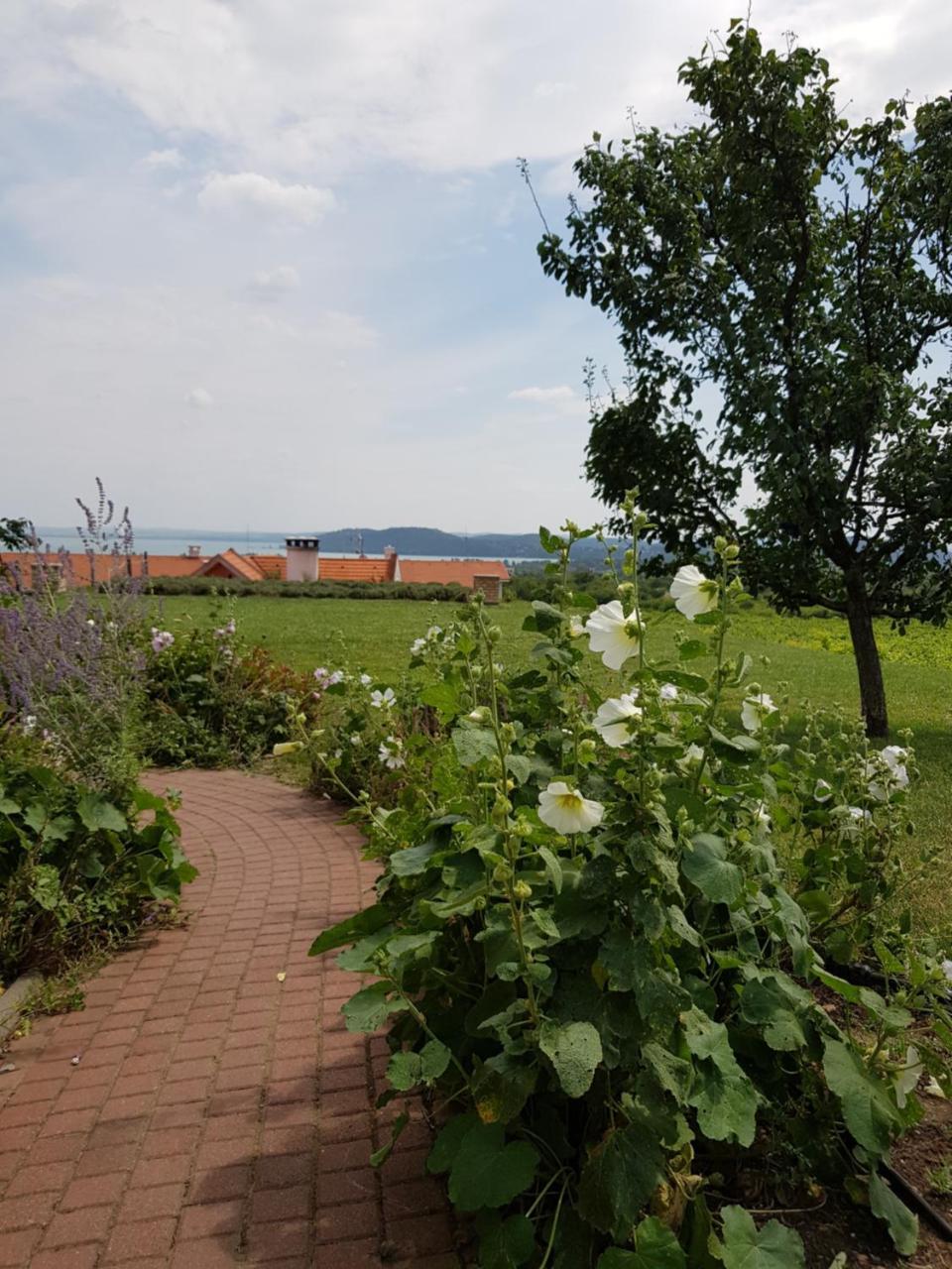 Koczor Winery & Guesthouse Balatonfüred Buitenkant foto