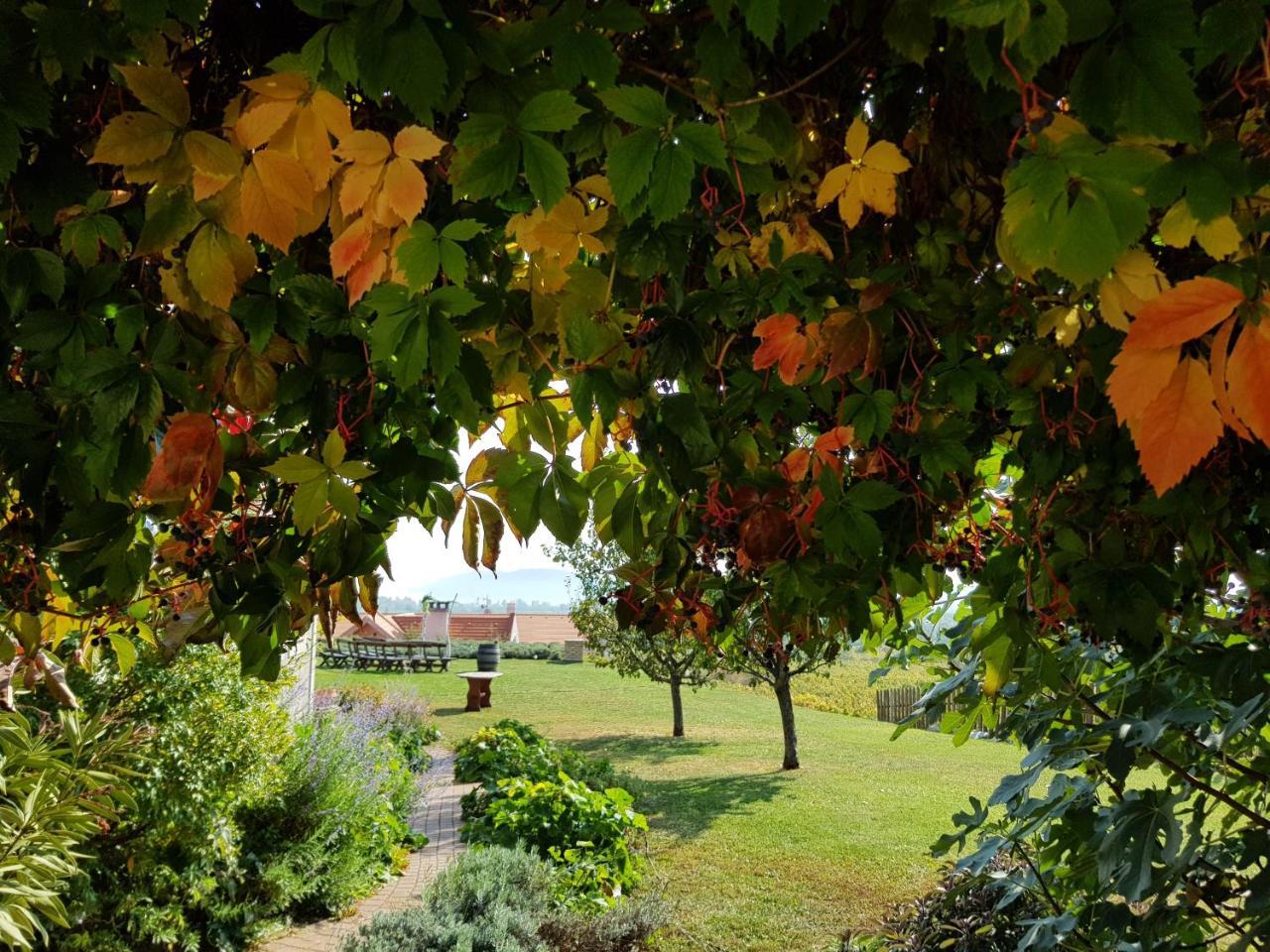 Koczor Winery & Guesthouse Balatonfüred Buitenkant foto